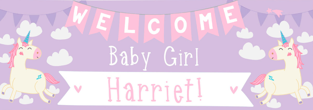 Personalised Party Banner - Welcome Baby Girl