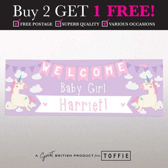 Personalised Party Banner - Welcome Baby Girl