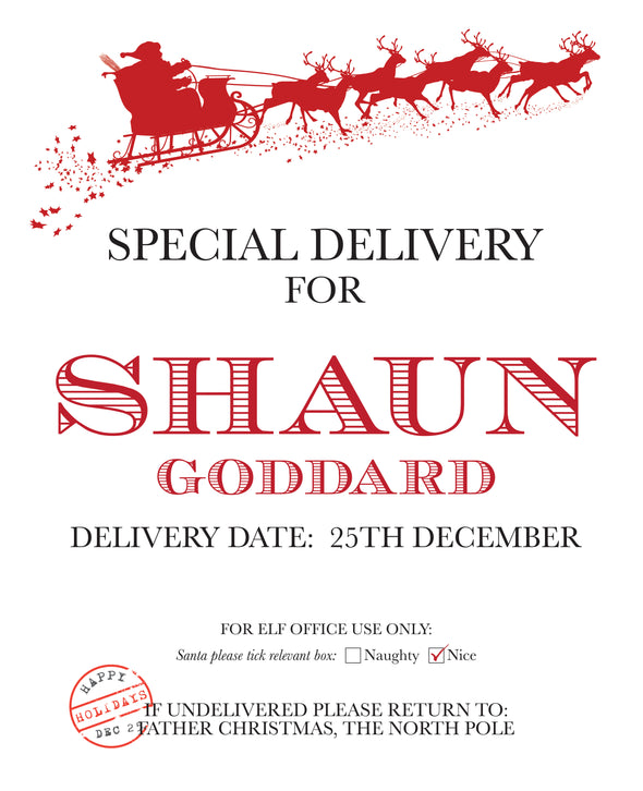 Special Delivery - Personalised Santa Sack