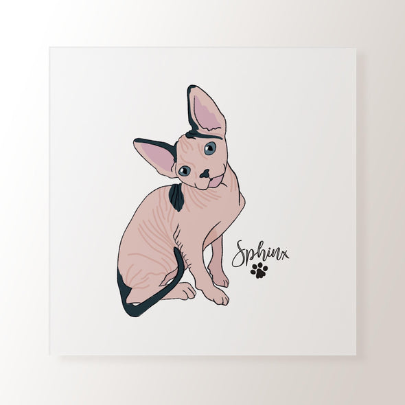 Personalised Sphynx Cat - Art Print