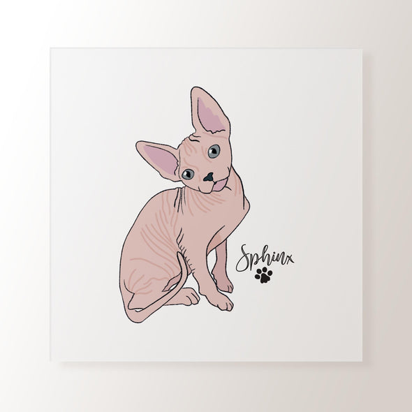 Personalised Pink Sphynx Cat - Art Print