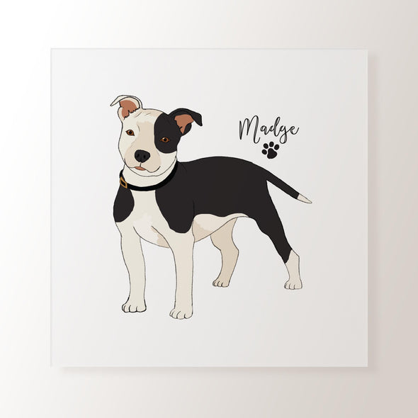 Personalised Black & White Staffordshire Bull Terrier - Art Print