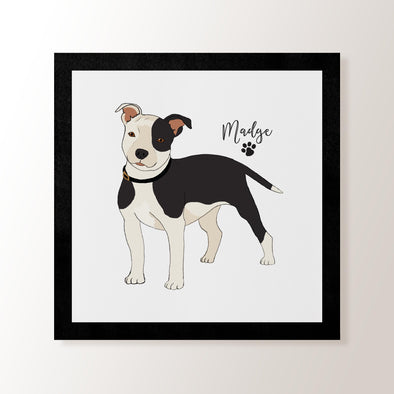 Personalised Black & White Staffordshire Bull Terrier - Art Print