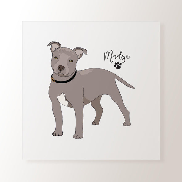 Personalised Blue Staffordshire Bull Terrier - Art Print
