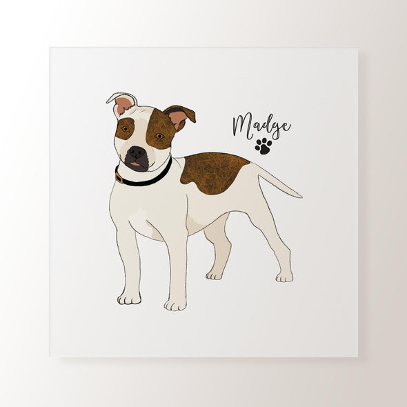 Personalised White & Brindle Staffordshire Bull Terrier - Art Print
