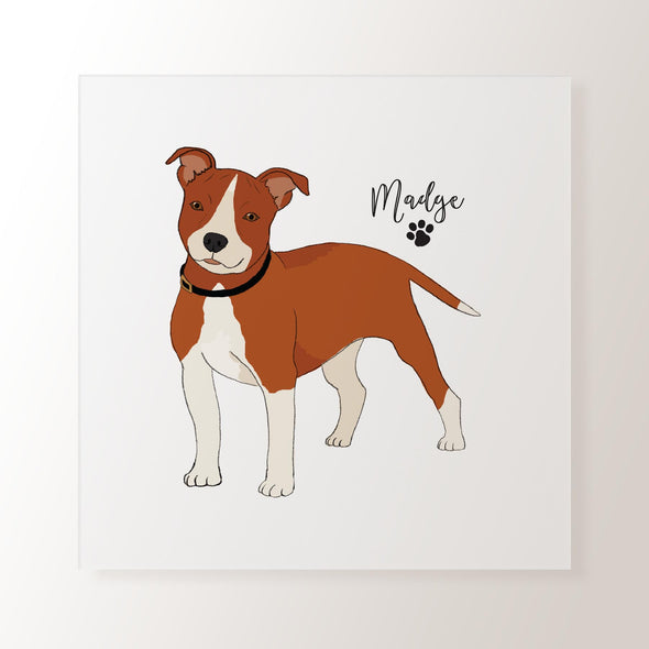 Personalised Red & White Staffordshire Bull Terrier - Art Print