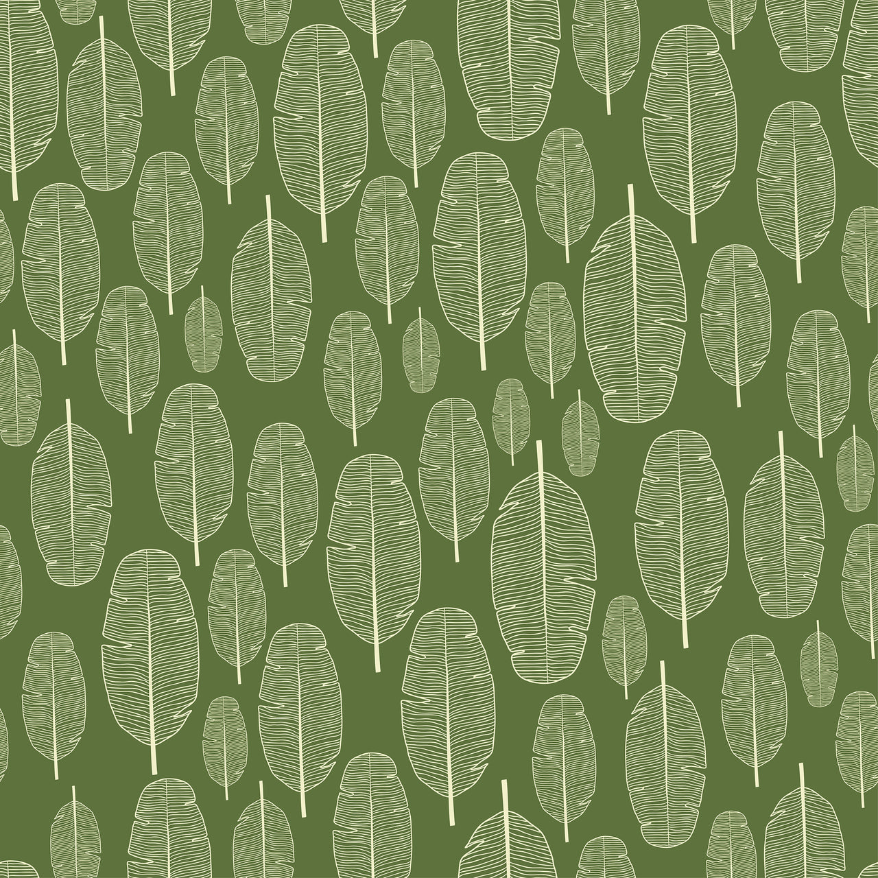 Olive Leaves