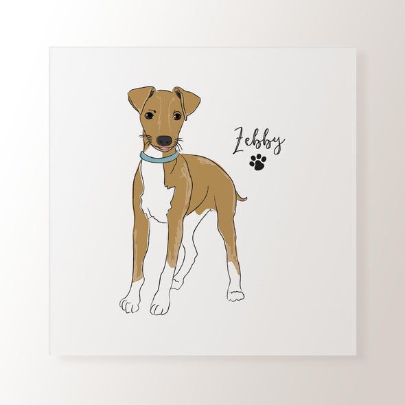 Personalised Fawn & White Whippet - Art Print